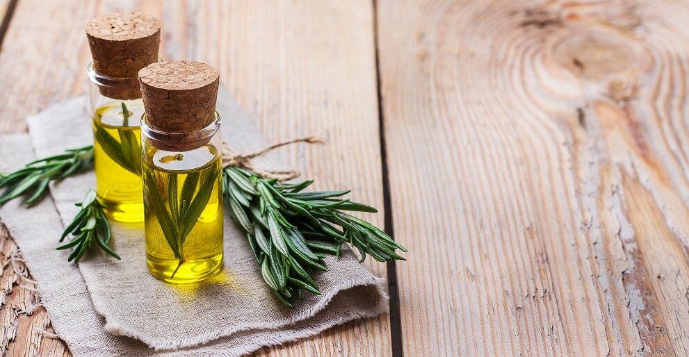 Oils and Acne: What's Scientifically Safe For Your Skin? – Skin Nutritious