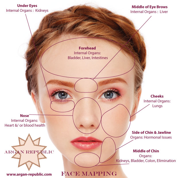 Face Mapping : Your Guide to Internal & External Beauty - Wilder North ...