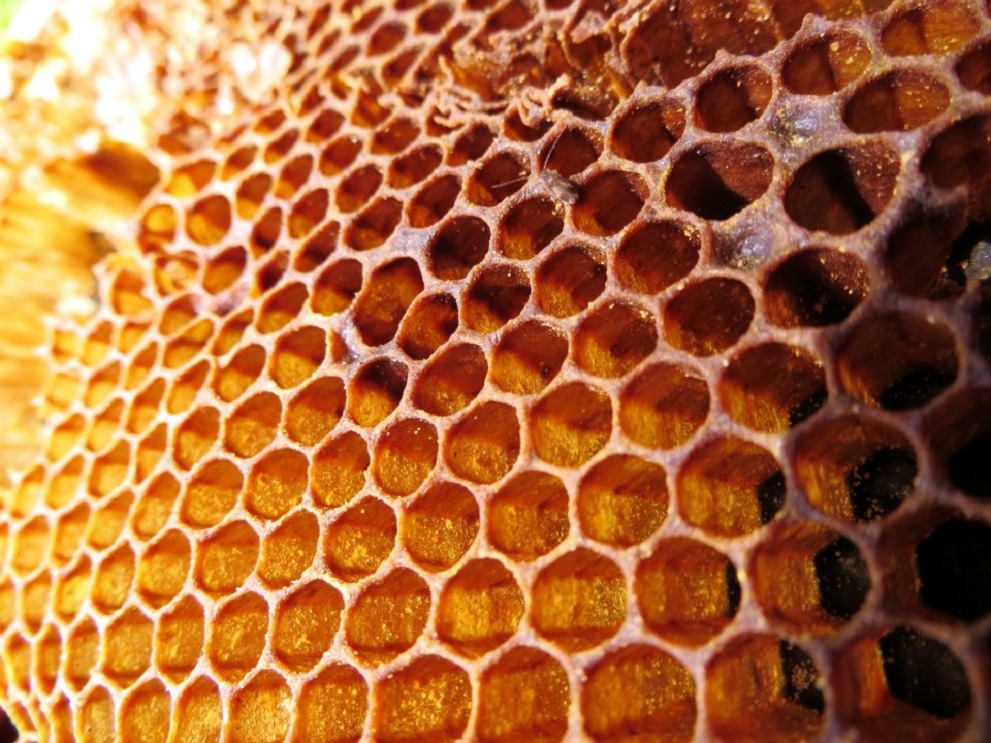 honeycomb