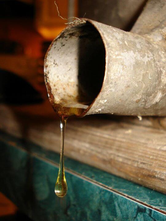 first drop of honey