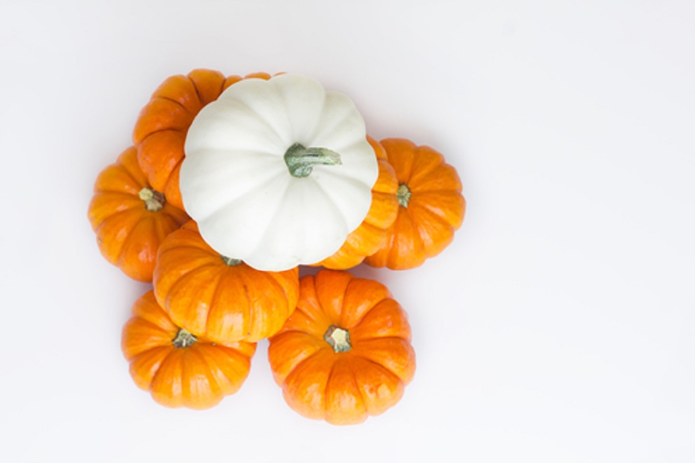 pumpkin vanilla face maskhttps://argan-republic.com/pumpkin-face-mask/